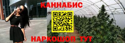 крисы Свободный