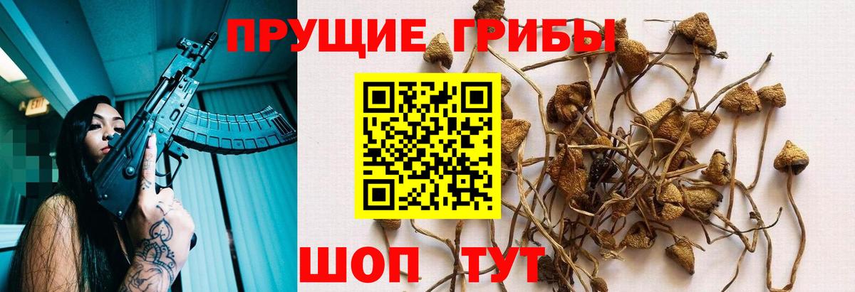 Галлюциногенные грибы прущие грибы Чапаевск