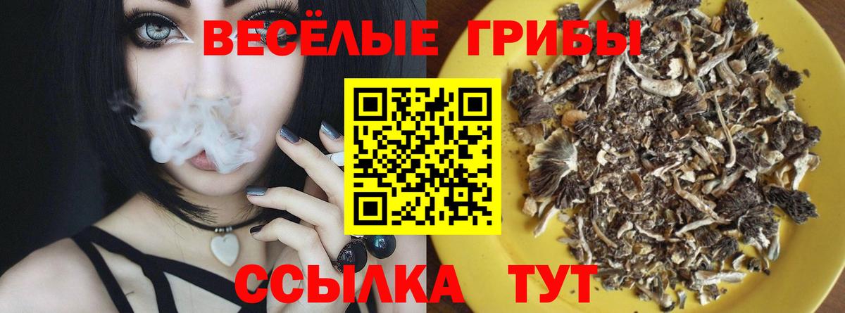 Галлюциногенные грибы ЛСД  Вход с VPN  Чапаевск 